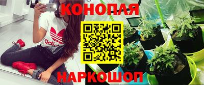 каннабис Гагарин