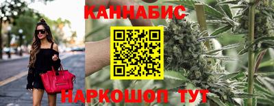 меф Гатчина