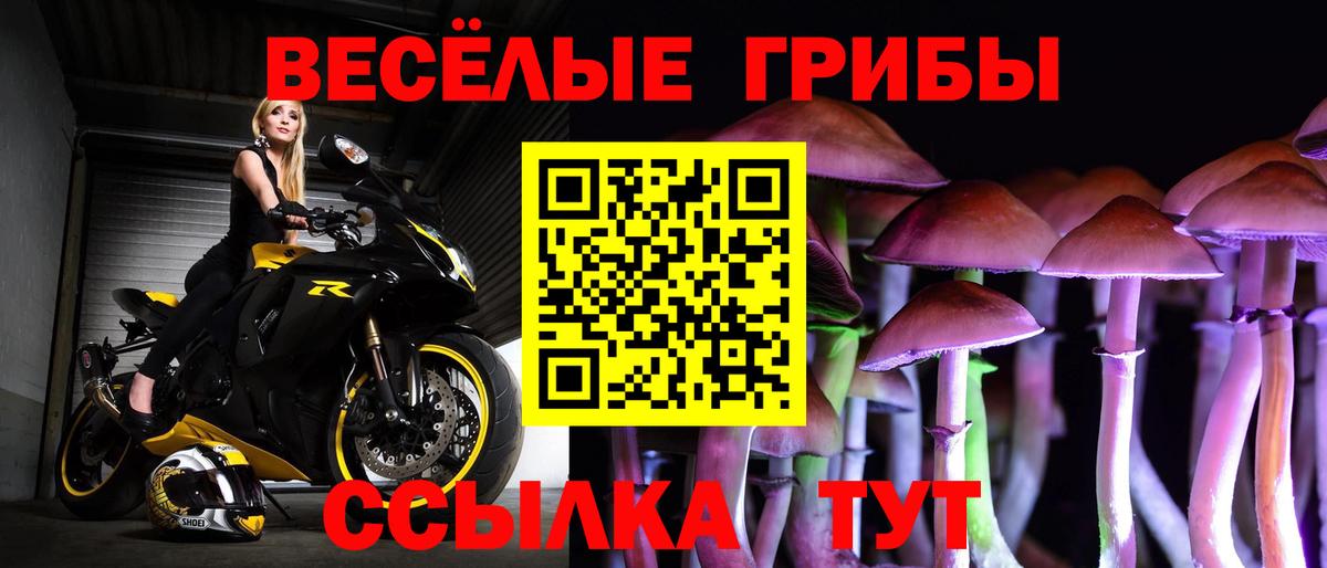 купить закладку  Вход с VPN  Заводоуковск  Галлюциногенные грибы мухоморы 