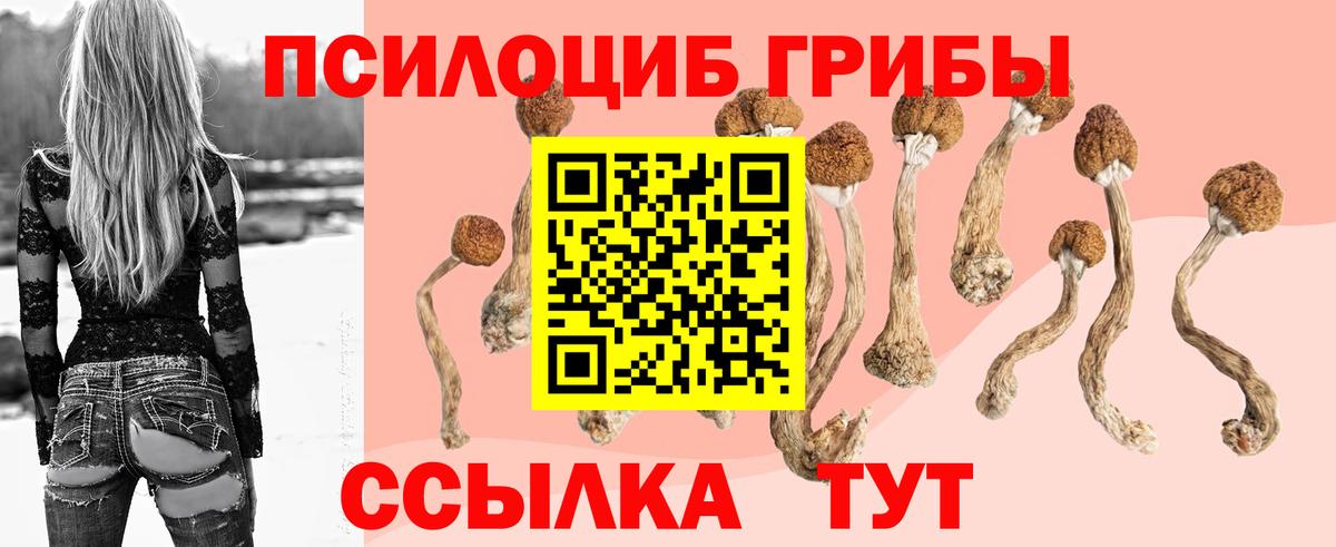 Псилоцибиновые грибы ЛСД Заводоуковск